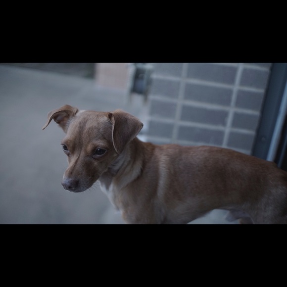 Meet your Posher, Alex - Picture 5 of 6